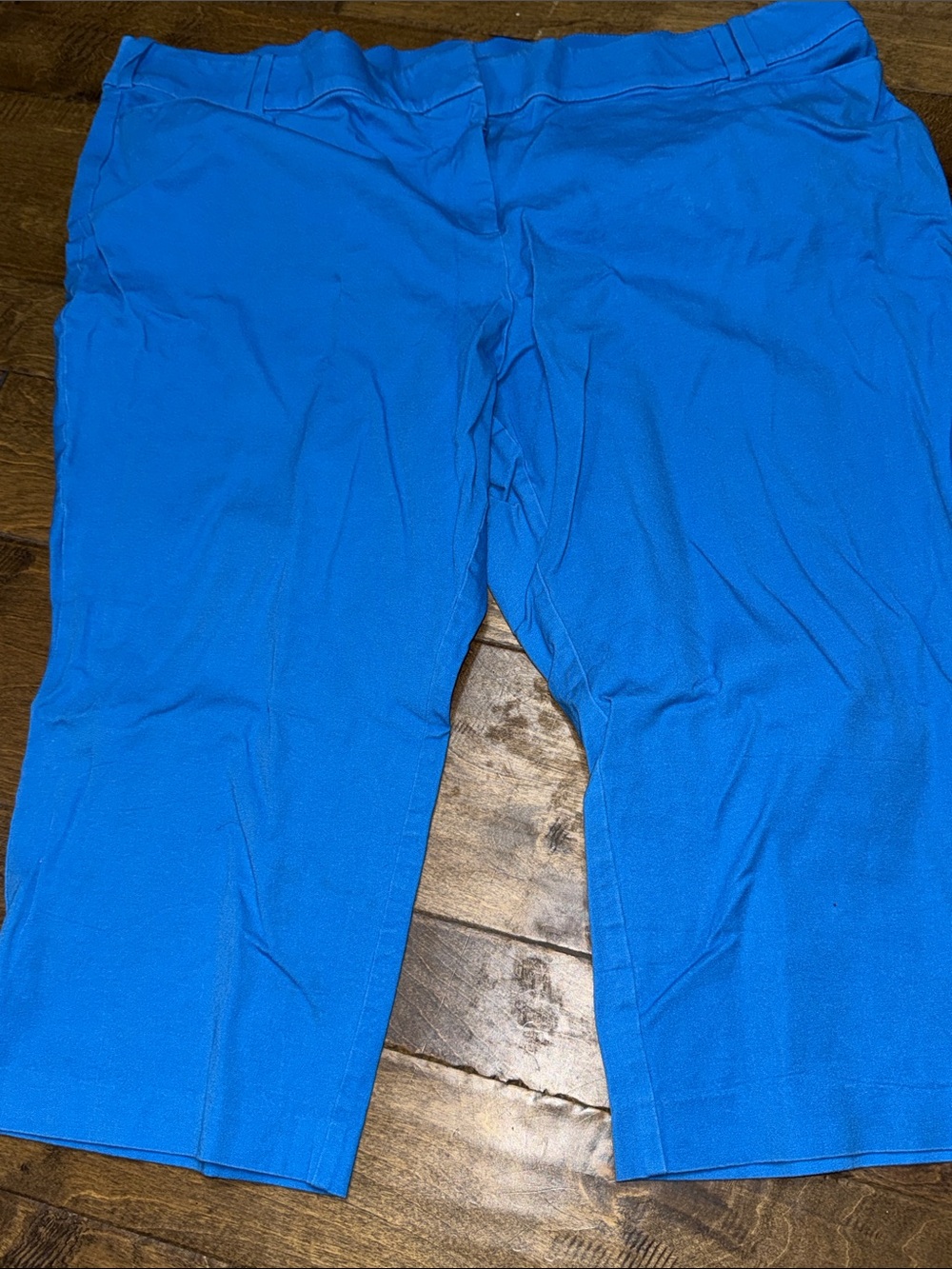 Lane Bryant Bright Blue Stretch Capri Pants